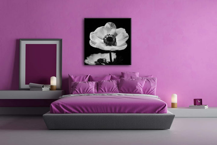 deyoli Dark Anemone Format: 60x60 Effekt: Schwarz&Weiss als Leinwandbild, Motiv auf Echtholzrahmen,