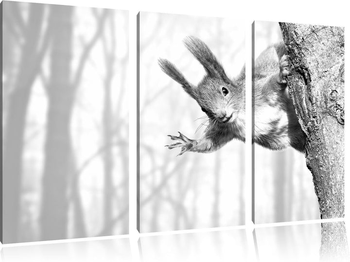 Pixxprint Neugierig rotes Eichhörnchen Kunst B&W 3-Teiler Leinwandbild 120x80 Bild auf Leinwand