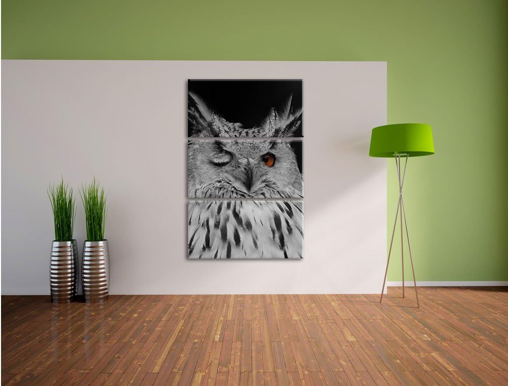 Pixxprint Dark schöne Waldohreule zwinkert schwarz/weiss 3-Teiler Leinwandbild 120x80 Bild auf Leinw