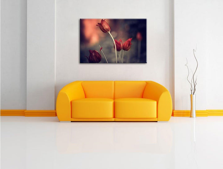 Edle Tulpen im Abendlicht Format: 100x70 auf Leinwand, XXL riesige Bilder fertig gerahmt mit Keilrah
