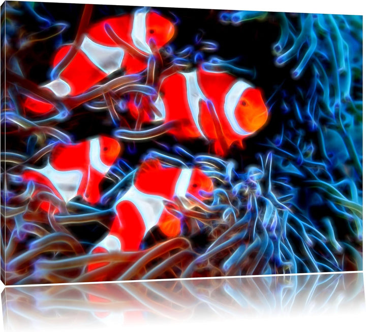 Clownfische in Anemone Deluxe Format: 100x70 cm auf Leinwand, XXL riesige Bilder fertig gerahmt mit
