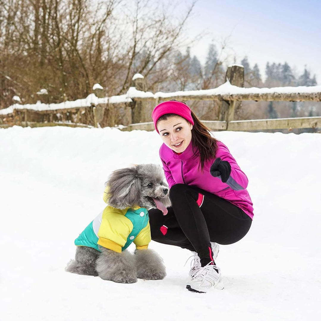PETCUTE Hund Wintermantel Winterjacke mit Kapuze, Hundemantel mit Knopfverschluss,Verstellbar Hundej