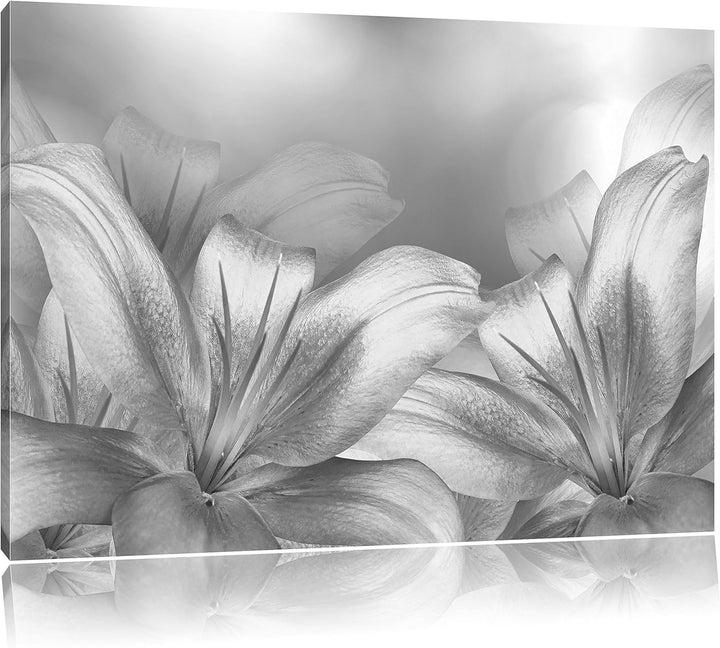 türkise Lilien Kunst B&W, Format: 100x70 auf Leinwand, XXL riesige Bilder fertig gerahmt mit Keilrah