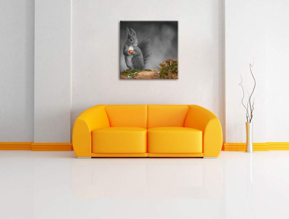 Pixxprint süsses Eichhörnchen mit Nuss als Leinwandbild/Grösse: 70x70 cm/Wandbild/Kunstdruck/fertig