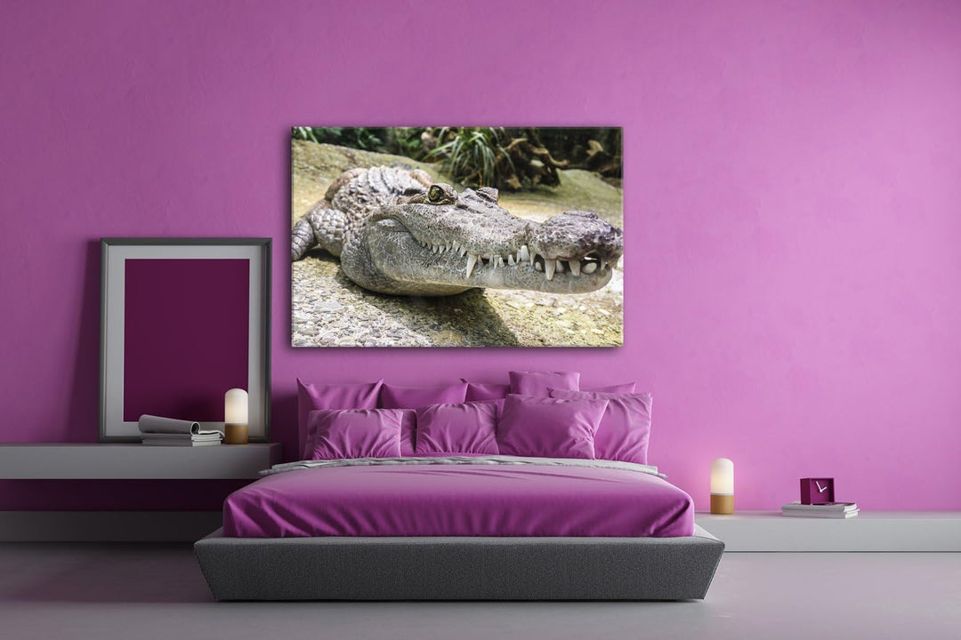 deyoli Anmutiges Krokodil Format: 80x60 als Leinwandbild, Motiv fertig gerahmt auf Echtholzrahmen, H