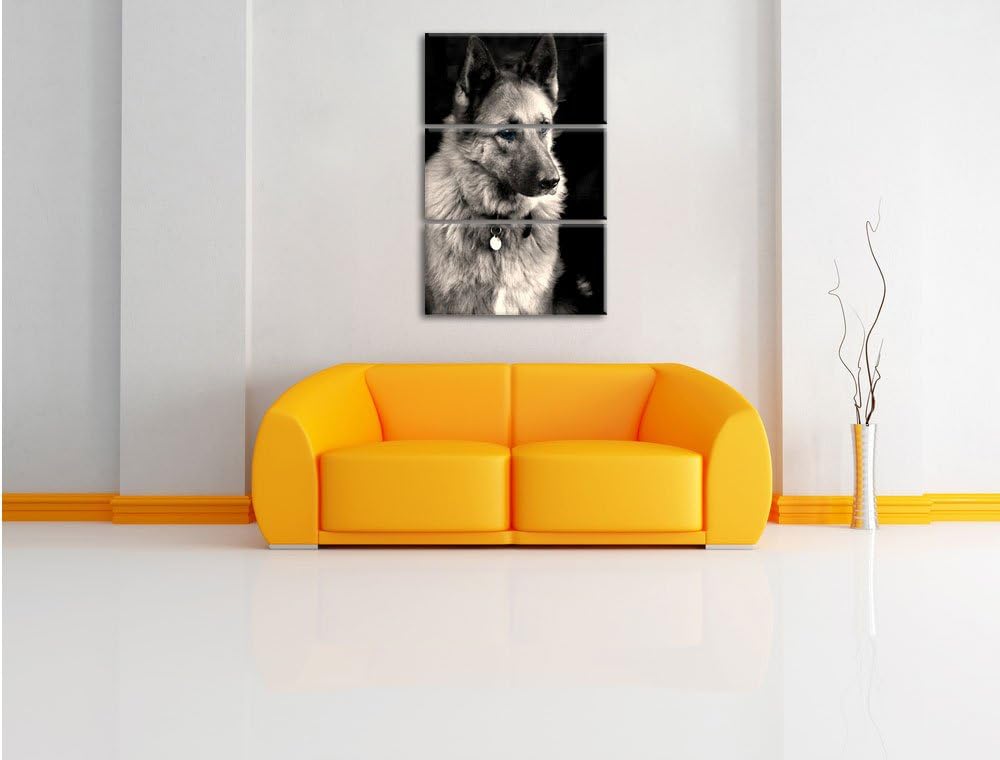 Pixxprint Zwei Hunde auf dem Teppich als Leinwandbild/Grösse: 3 Teilig (120x80 cm) cm/Wandbild/Kunst