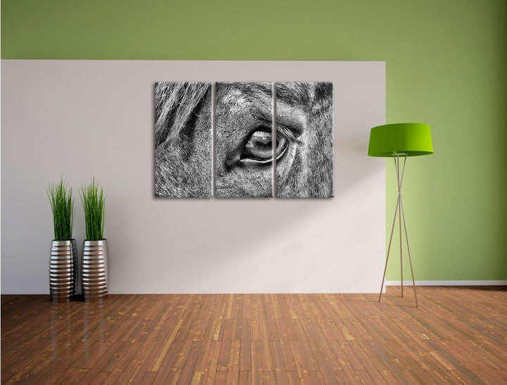 Pixxprint sanfte grosse Pferdeaugen als Leinwandbild/Grösse: 3 Teilig (120x80) / Wandbild/Kunstdruck