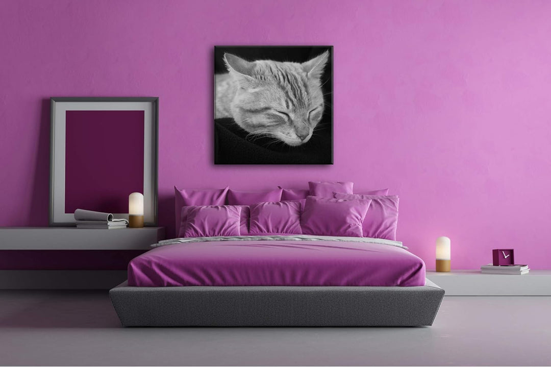 deyoli goldig schlafende Katze Format: 60x60 Effekt: Schwarz&Weiss als Leinwandbild, Motiv auf Echth
