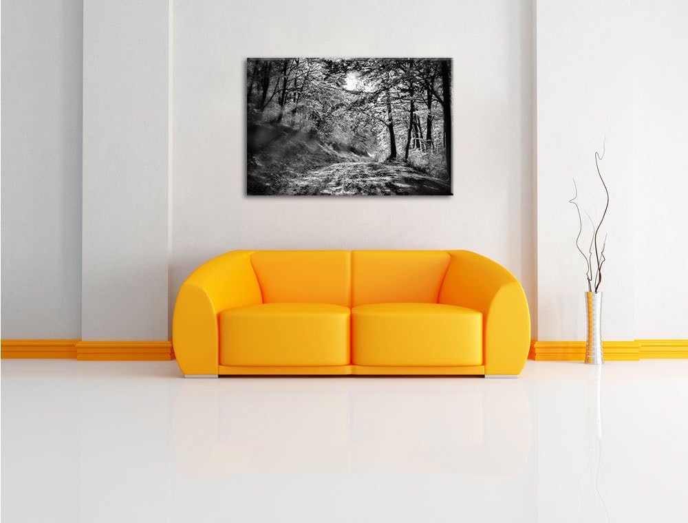 Monocrome, Wald, Format: 100x70 auf Leinwand, XXL riesige Bilder fertig gerahmt mit Keilrahmen, Kuns