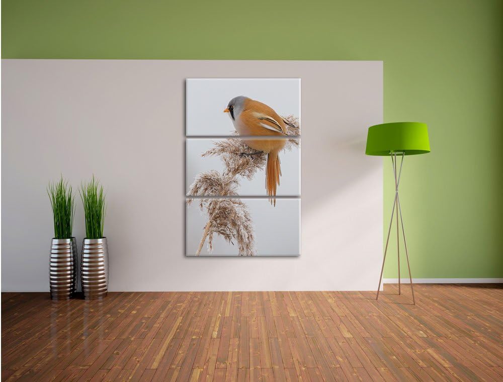 Pixxprint Vogel auf Weizen im Winter als Leinwandbild/Grösse: 3 Teilig (120x80) cm/Wandbild/Kunstdru