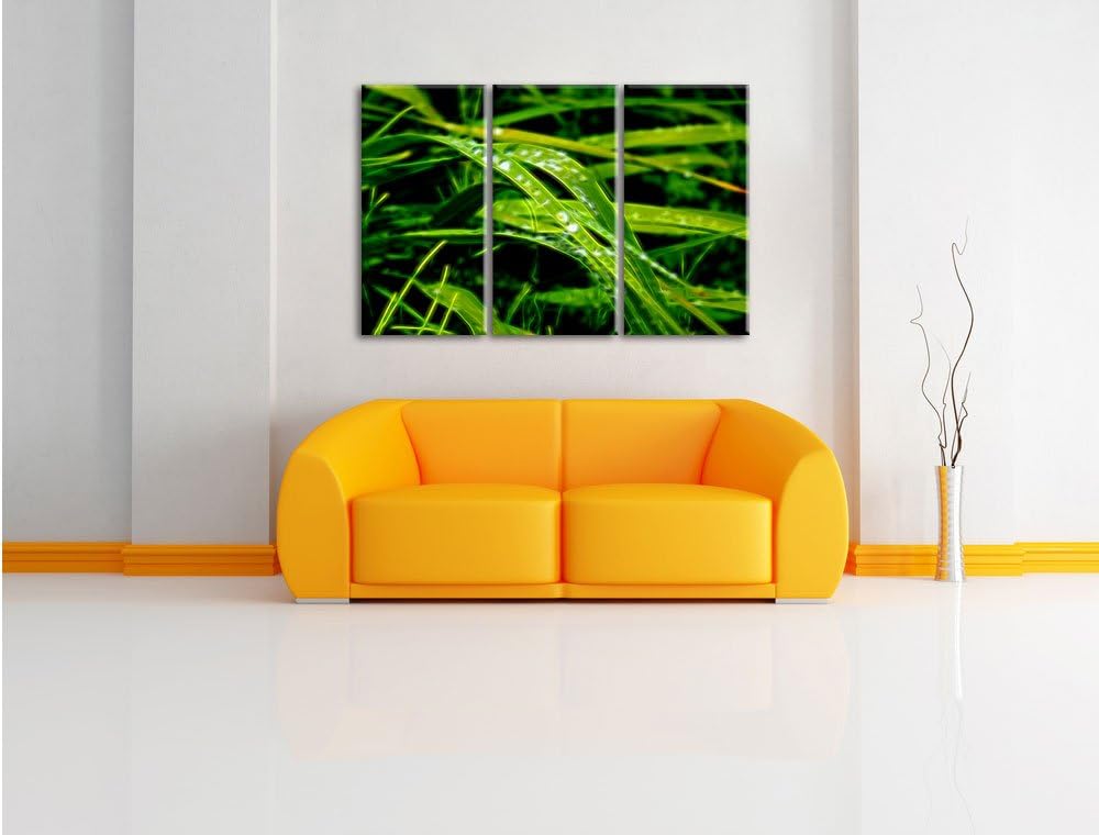 Pixxprint Grashalme Neon Lights Effekt 3-Teiler Leinwandbild 120x80 Bild auf Leinwand