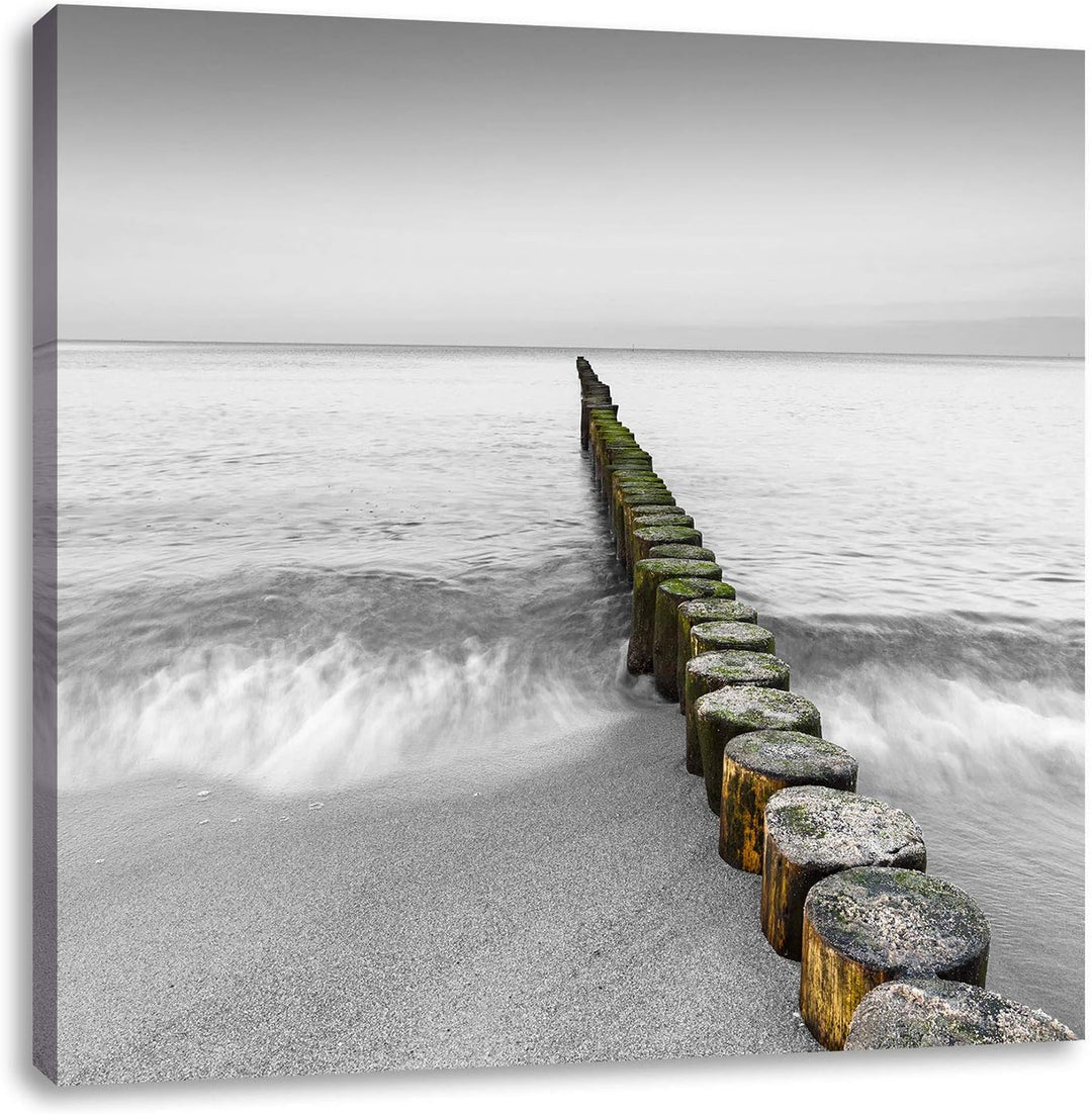 Pixxprint kleine Baumstümpfe im Meer als Leinwandbild/Grösse: 70x70 cm/Wandbild/Kunstdruck/fertig be