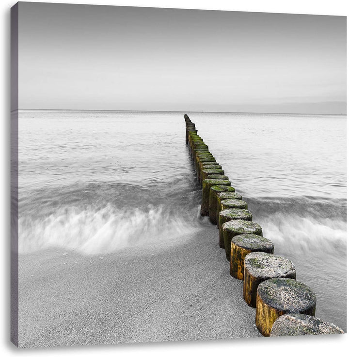 Pixxprint kleine Baumstümpfe im Meer als Leinwandbild/Grösse: 70x70 cm/Wandbild/Kunstdruck/fertig be