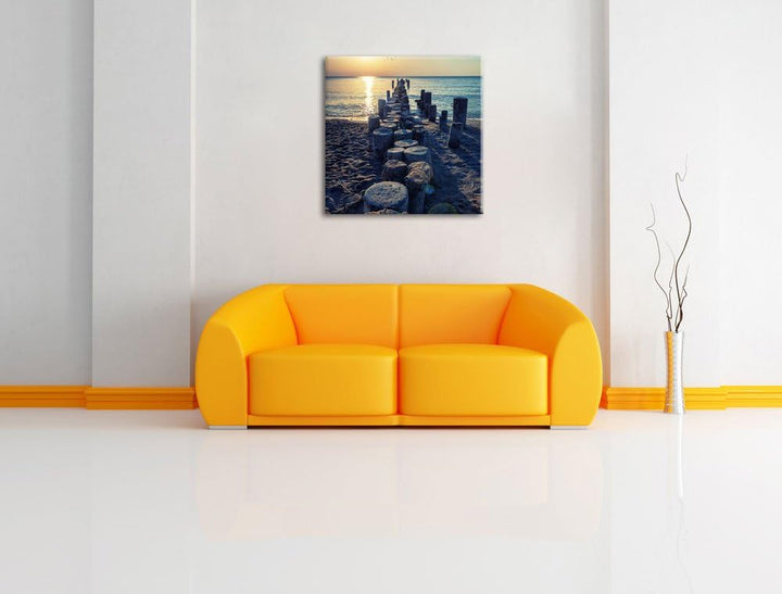 Baumstümpfe am Meer, Format: 70x70 auf Leinwand, XXL riesige Bilder fertig gerahmt mit Keilrahmen, K