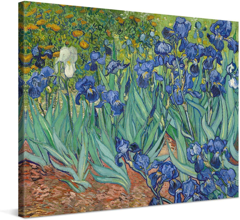 PICANOVA – Vincent Van Gogh Irises 80x60 cm – Bild auf Leinwand – Leinwandbild – Premium Leinwanddru