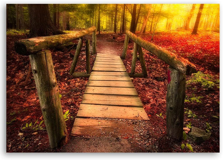 Feeby Vlies Leinwandbild Wald Sonnenuntergang Hölzerne Fussgängerbrücke 90x60 cm Druckbild Wandbild