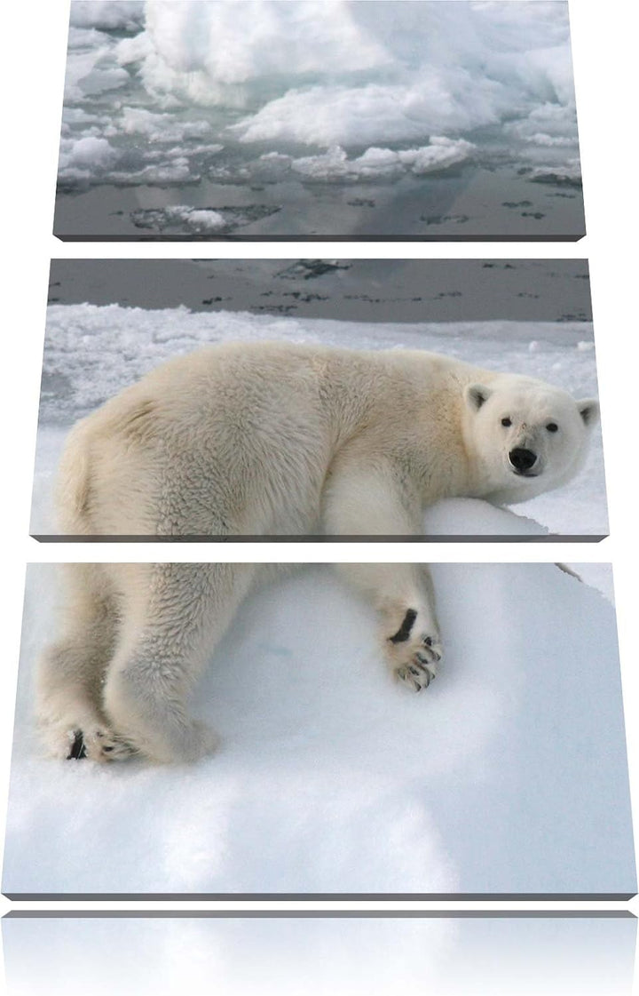 Pixxprint Eisbär auf Eisberg / 3-Teilig/Gesamtmass 120cm Leinwandbild bespannt auf Holzrahmen/Wandbi