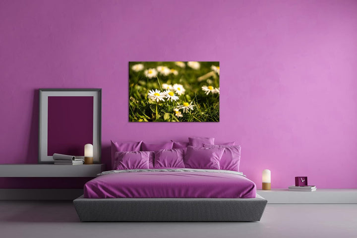 deyoli Gänseblümchen auf schöner Wiese im Format: 60x40 als Leinwandbild, Motiv fertig gerahmt auf E