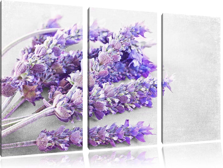 Pixxprint getrockneter Lavendel als Leinwandbild | Grösse: 3 Teilig (120x80) | Wandbild| Kunstdruck