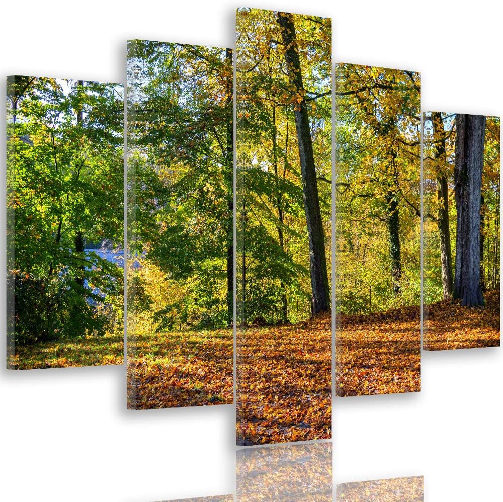 Wanddeko XXL Landschaft Leinwandbild 5 Teilig Herbst Wald Bäume bunt 100x70 cm Leinwandbild 100x70 c