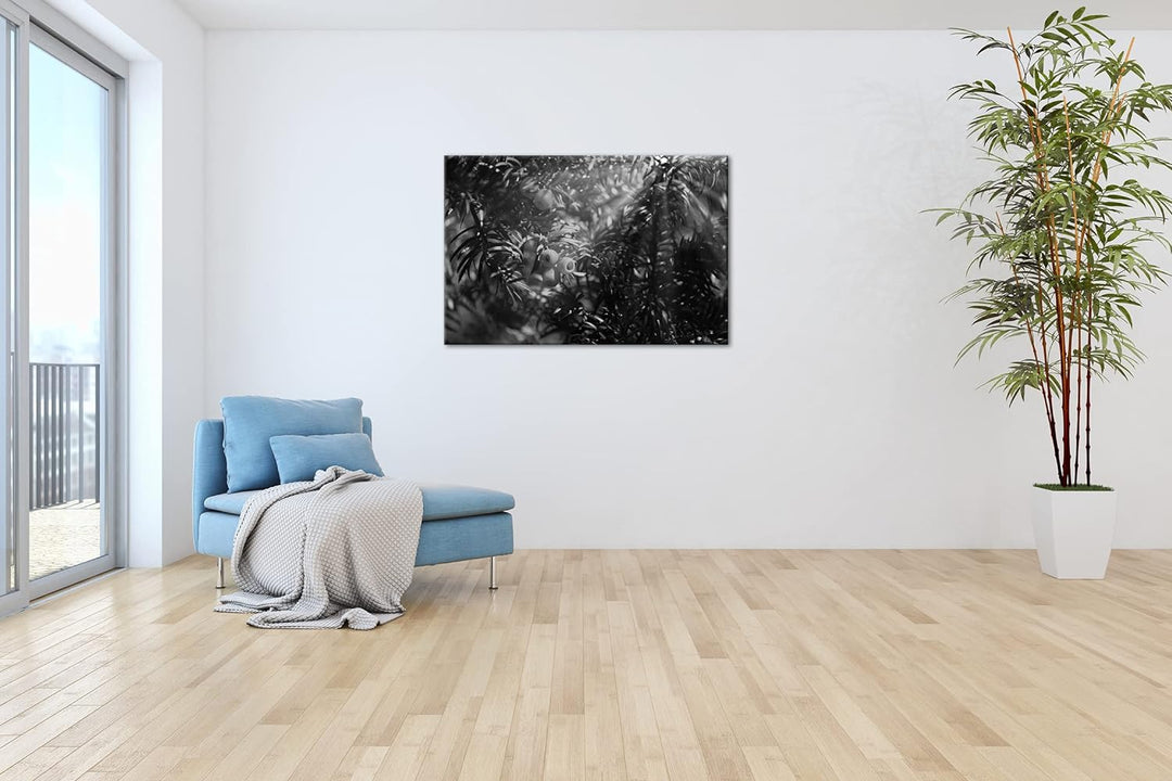 deyoli Eibe mit Früchten Effekt: Schwarz&Weiss Format: 80x60 als Leinwandbild, Motiv fertig gerahmt