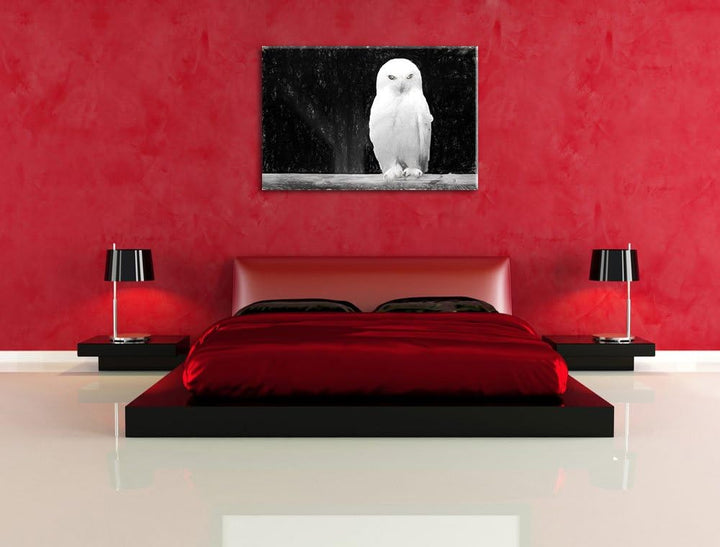 Pixxprint Weisse Schneeeule als Leinwandbild/Grösse: 100x70 / Wandbild/Kunstdruck/fertig bespannt, 1