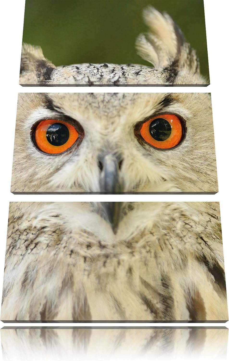 Pixxprint Eulen Kautz Orange Augen als Leinwandbild/Grösse: 3 Teilig (120x80) cm/Wandbild/Kunstdruck