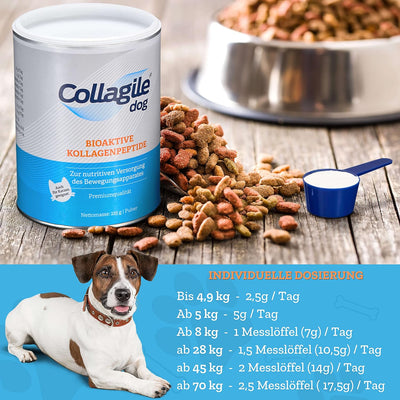 Collagile Dog Hunde Ergänzungsfutter für Knochen und Bänder Bioaktive Kollagenpeptide in Lebensmitte
