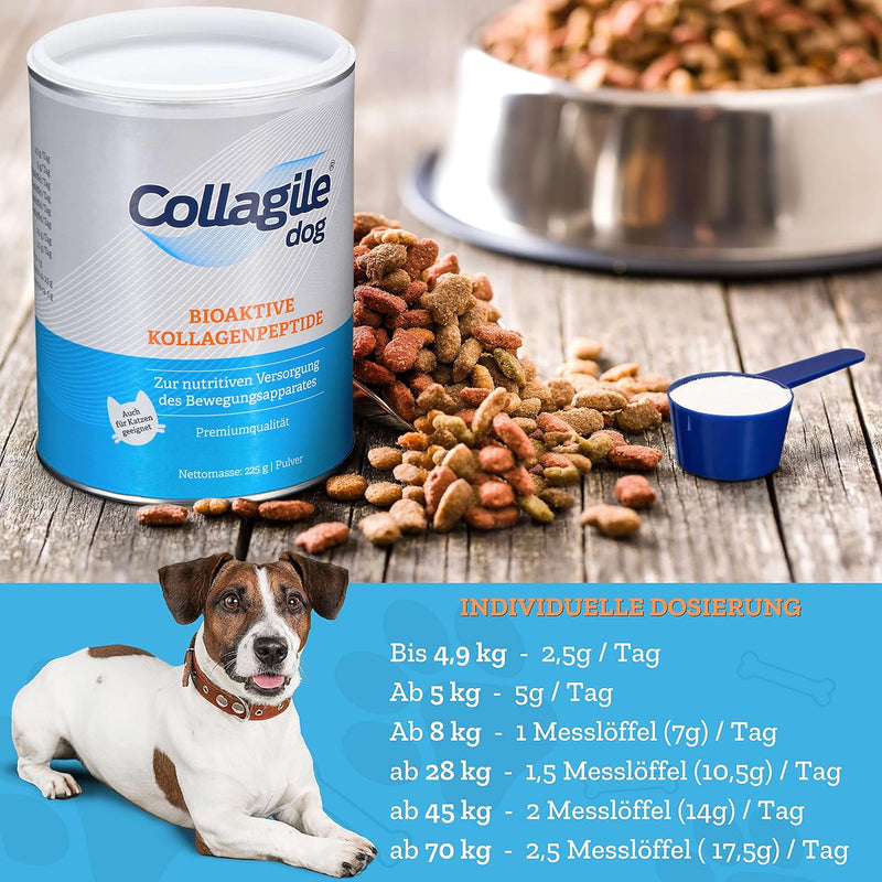Collagile Dog Hunde Ergänzungsfutter für Knochen und Bänder Bioaktive Kollagenpeptide in Lebensmitte