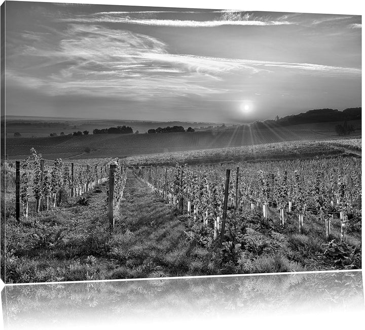 Pixxprint Weinberg in Bergerac Frankreich Kunst B&W, Format: 100x70 auf Leinwand, 100x70