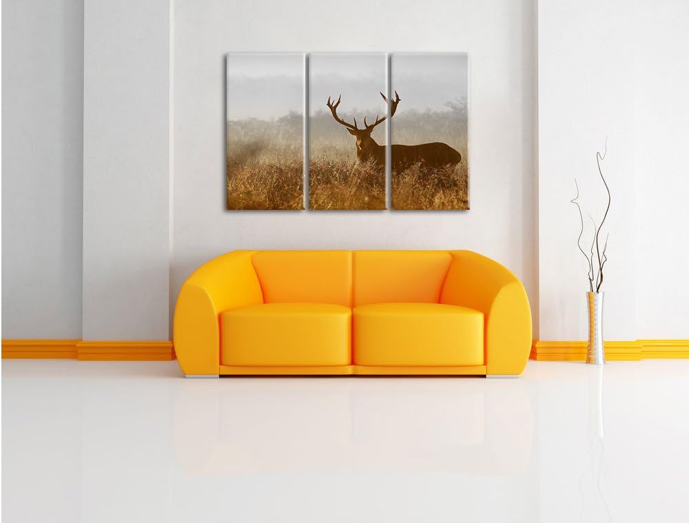 Pixxprint Rotwild Hirsch in Abenddämmerung als Leinwandbild/Grösse: 3 Teilig (120x80 cm) cm/Wandbild