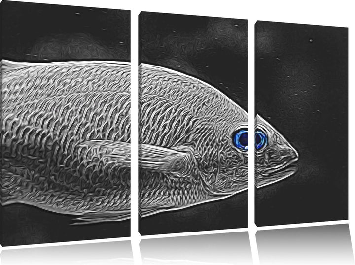 seltene gestreifte Streifengunze schwarz/weiss Deluxe 3-Teiler Leinwandbild 120x80 Bild auf Leinwand