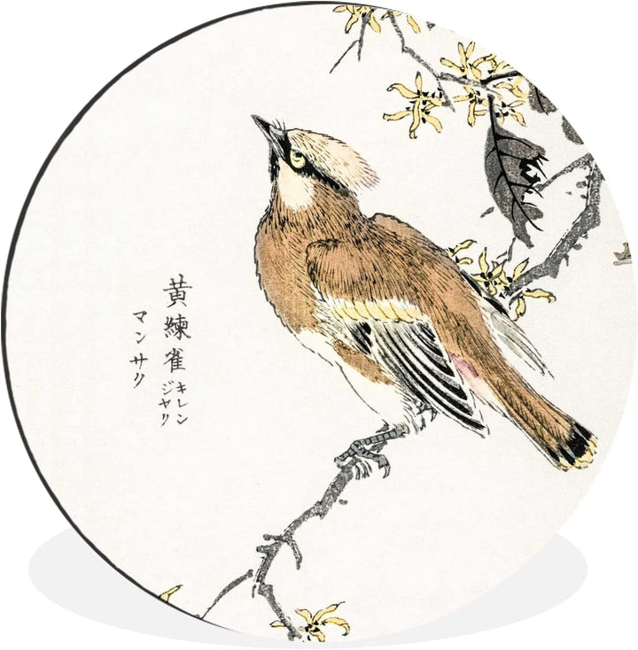 MuchoWow Wandbild Rund Wanddeko Deko Wohnzimmer Bilder 30x30 cm Vogel - Zweig - Schriftzeichen - Jap