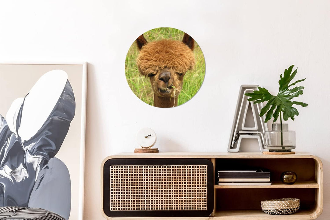 MuchoWow Wandbild Rund Wanddeko Deko Wohnzimmer Bilder 30x30 cm Alpaka - Gras - Haare, 30x30 cm