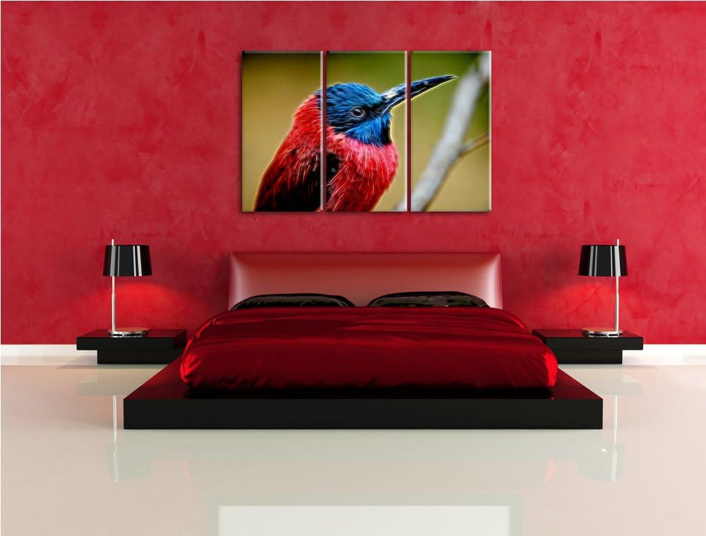 kleiner tropischer Vogel Spezial 3-Teiler Leinwandbild 120x80 Bild auf Leinwand, XXL riesige Bilder