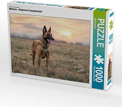 CALVENDO Puzzle Malinois - Belgische Energiebündel 1000 Teile Lege-Grösse 64 x 48 cm Foto-Puzzle Bil