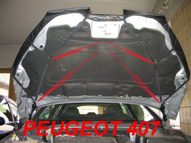 AB-00160 Auto Bra kompatibel mit Peugeot 407 Bj. 2004-2011 Haubenbra Steinschlagschutz Tuning Bonnet