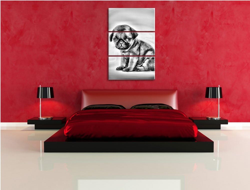 Pixxprint Monocrome, Kleiner Hundewelpe Mops als Leinwandbild 3 teilig/Grösse: 3 Teilig (120x80) / W