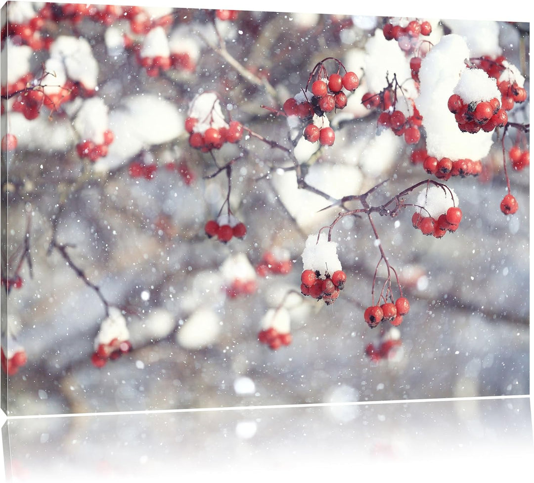 Pixxprint Vogelbeeren mit Schnee bedeckt, Format: 100x70 auf Leinwand, 100x70