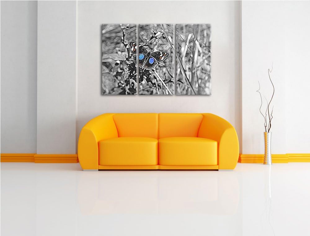 aussergewöhnlicher Schmetterling auf Grashalm schwarz/weiss Spezial 3-Teiler Leinwandbild 120x80 Bil