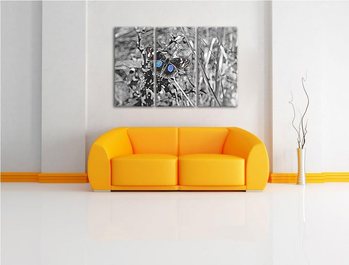 aussergewöhnlicher Schmetterling auf Grashalm schwarz/weiss Spezial 3-Teiler Leinwandbild 120x80 Bil