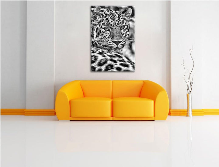 Pixxprint Monocrome, aufmerksamer Leopard im Schatten, Format: 100x70 auf Leinwand, XXL riesige Bild