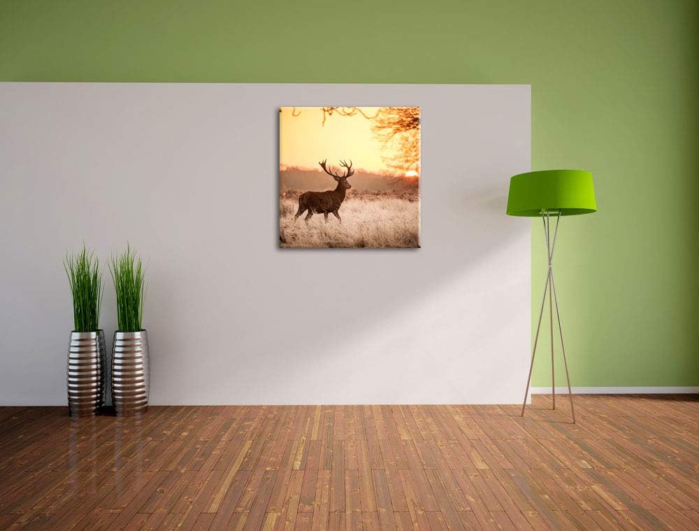 Hirsch im Sonnenuntergang, Format: 70x70 auf Leinwand, XXL riesige Bilder fertig gerahmt mit Keilrah