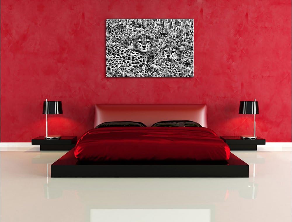 Pixxprint süsse Junge Geparden im Gras als Leinwandbild/Grösse: 100x70 / Wandbild/Kunstdruck/fertig