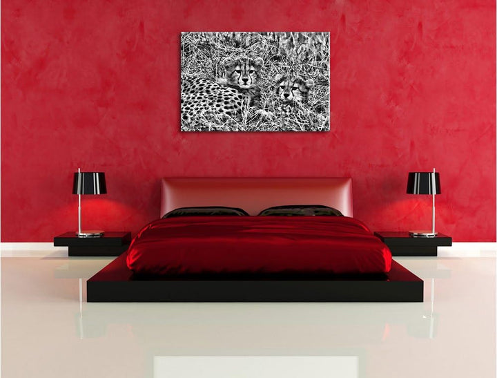 Pixxprint süsse Junge Geparden im Gras als Leinwandbild/Grösse: 100x70 / Wandbild/Kunstdruck/fertig