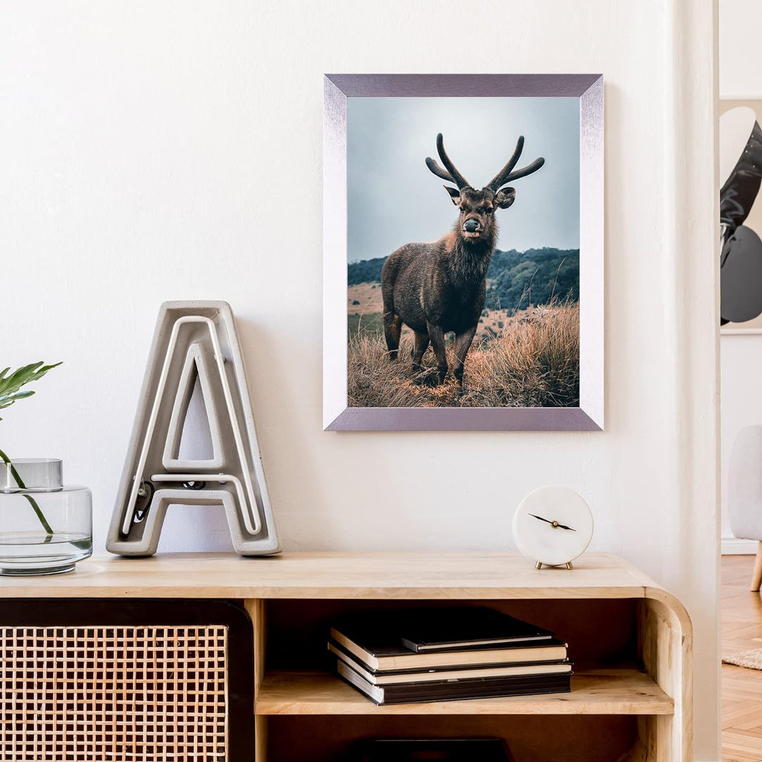 Rahmendesign24 Posterrahmen Milano 60x80 Silber (hochglanz) Fotorahmen, Wechselrahmen, Bilderrahmen,