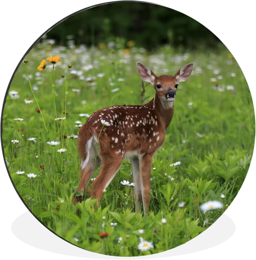 MuchoWow Wandbild Rund Wanddeko Deko Wohnzimmer Bilder 30x30 cm Hirsche - Blumen - Wald, 30x30 cm