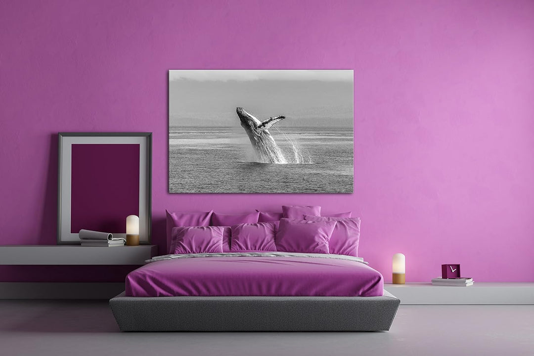 deyoli atemberaubender Buckelwal im Meer Effekt: Schwarz/Weiss im Format: 80x60 als Leinwandbild, Mo