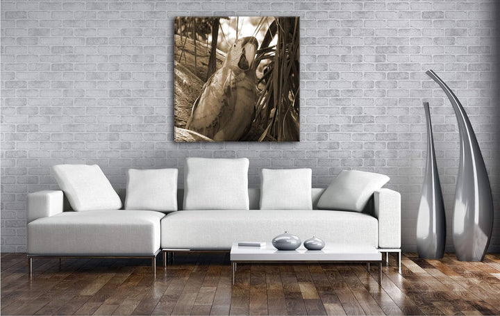 deyoli exotischer Papagei im Baum Format: 70x70 Effekt: Sepia als Leinwandbild, Motiv fertig gerahmt