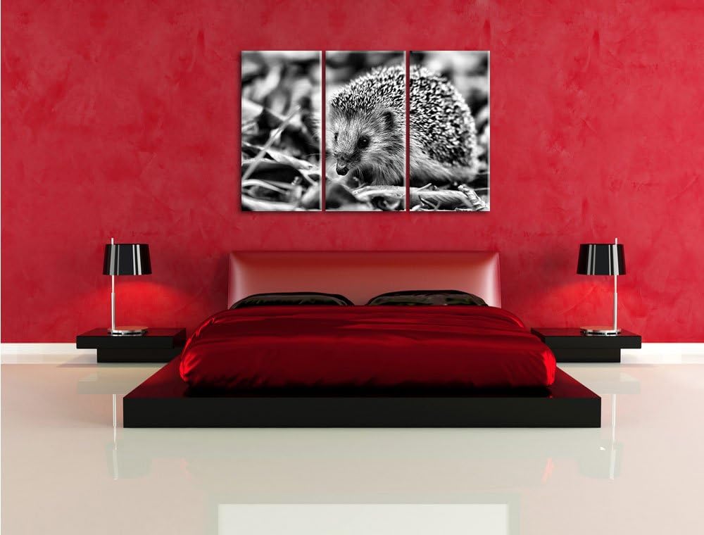Pixxprint Kleiner Igel als Leinwandbild/Grösse: 3 Teilig (120x80 cm) cm/Wandbild/Kunstdruck/fertig b